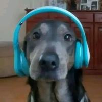 Sound image