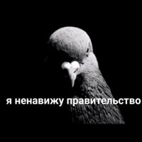i.hate.goverment