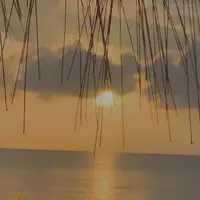 TikTok Account - https://p16-amd-va.tiktokcdn.com/tos-maliva-avt-0068/f340c5256c73ccbfa248a0175df93e3e~tplv-tiktokx-cropcenter-q:200:200:q70.webp