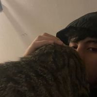 borja_colocolo