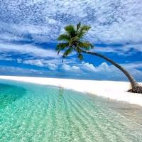 original sound - lagu_kenangan