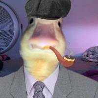 TikTok Account Photo