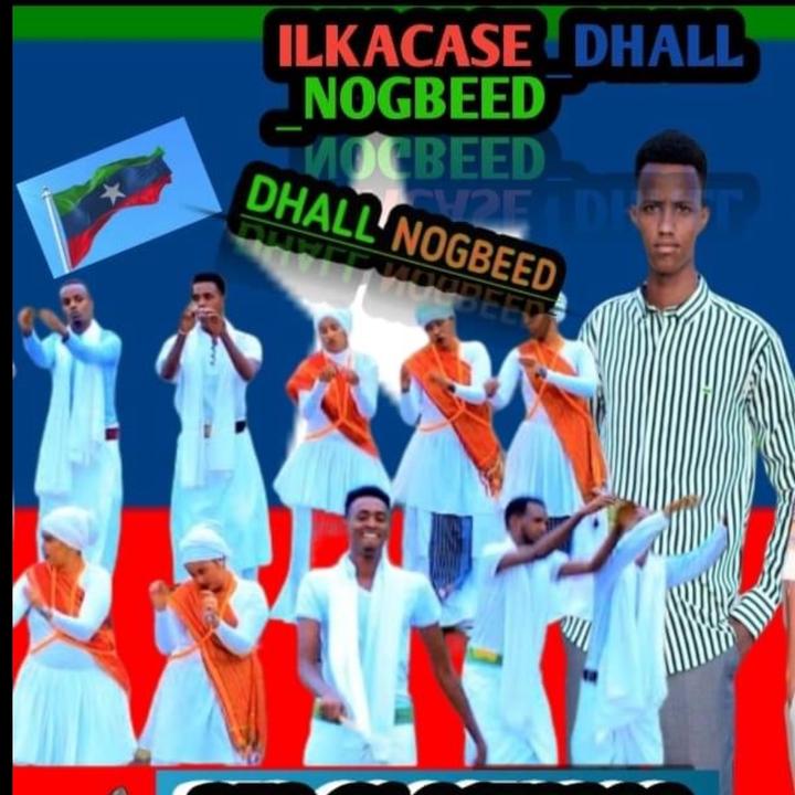 @ILKACASE_NOGOB DDS🇬🇲 🎤 - dhall nogbeed