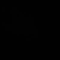 Sound image