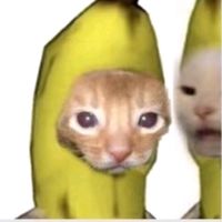 your_fav_girl_alison0