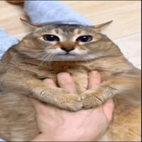 Sound image