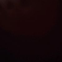 marisolchungara3