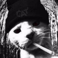 TikTok Account - 04h.44mm