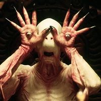 TikTok Account - https://p16-amd-va.tiktokcdn.com/tos-maliva-avt-0068/fbfcff199edd0ec61e88c5964e62f46d~tplv-tiktokx-cropcenter:200:200.jpeg