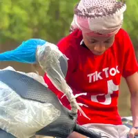 TikTok Account Photo