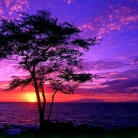 TikTok Account - https://p16-amd-va.tiktokcdn.com/tos-maliva-avt-0068/fc9fa8a5e66fa0c5d263bbc16c6ca402~tplv-tiktokx-cropcenter:200:200.jpeg