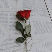 TikTok Account - https://p16-amd-va.tiktokcdn.com/tos-maliva-avt-0068/fca4f19bd3244ec0761b1ac8152bc888~tplv-tiktokx-cropcenter-q:200:200:q70.jpg
