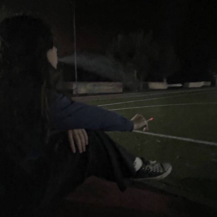 Sound cover