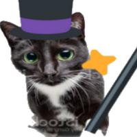 mage tears cats in the cold