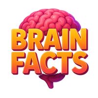 brain_factts