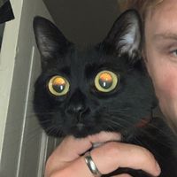 TikTok Account Photo