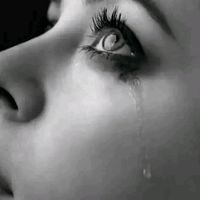 TikTok Account - https://p16-amd-va.tiktokcdn.com/tos-maliva-avt-0068/ff07fc89325c7cab0dfe75b4eaff91b3~tplv-tiktokx-cropcenter:200:200.jpeg