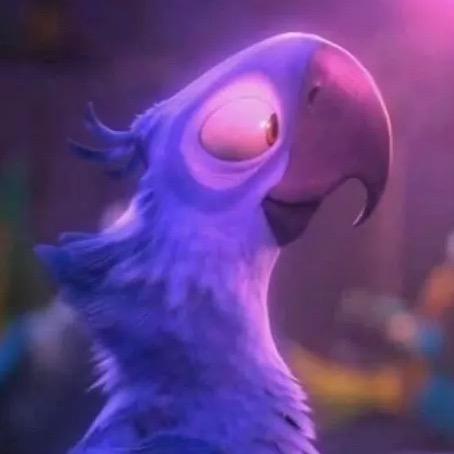 araizalaredo