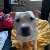 TikTok Account Photo